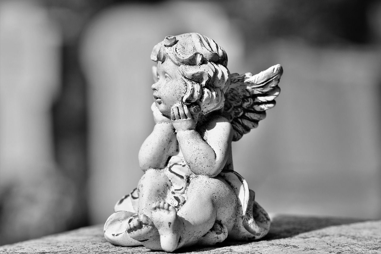 learn about angel investors, early-stage funding, and how these individuals support startups with capital and mentorship to drive business growth.