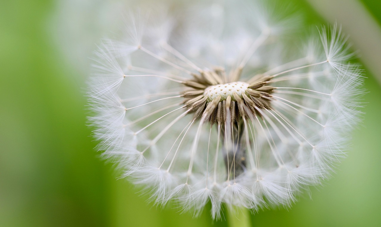 Where should early-stage startups look for seed funding beyond traditional venture capital?