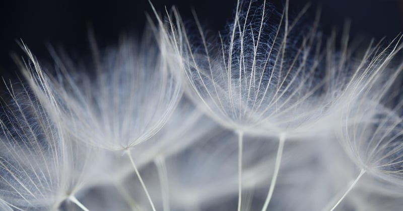 How to Create a Fundraising Pitch Deck for Seed Investors